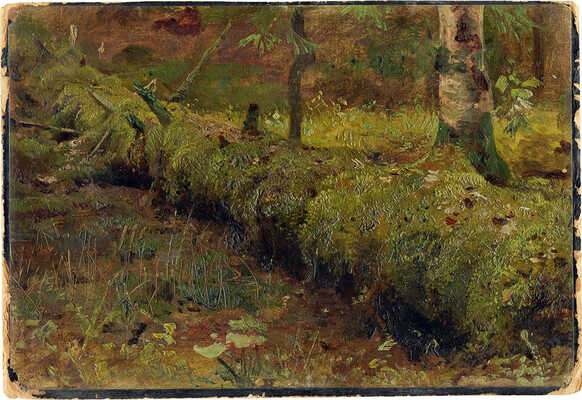 Неизвестный художник. Лес 